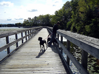 Walking on the boardwalk in North Bay Park near Ann Arbor, Michigan