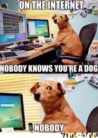 Funny dog with the web name doogle