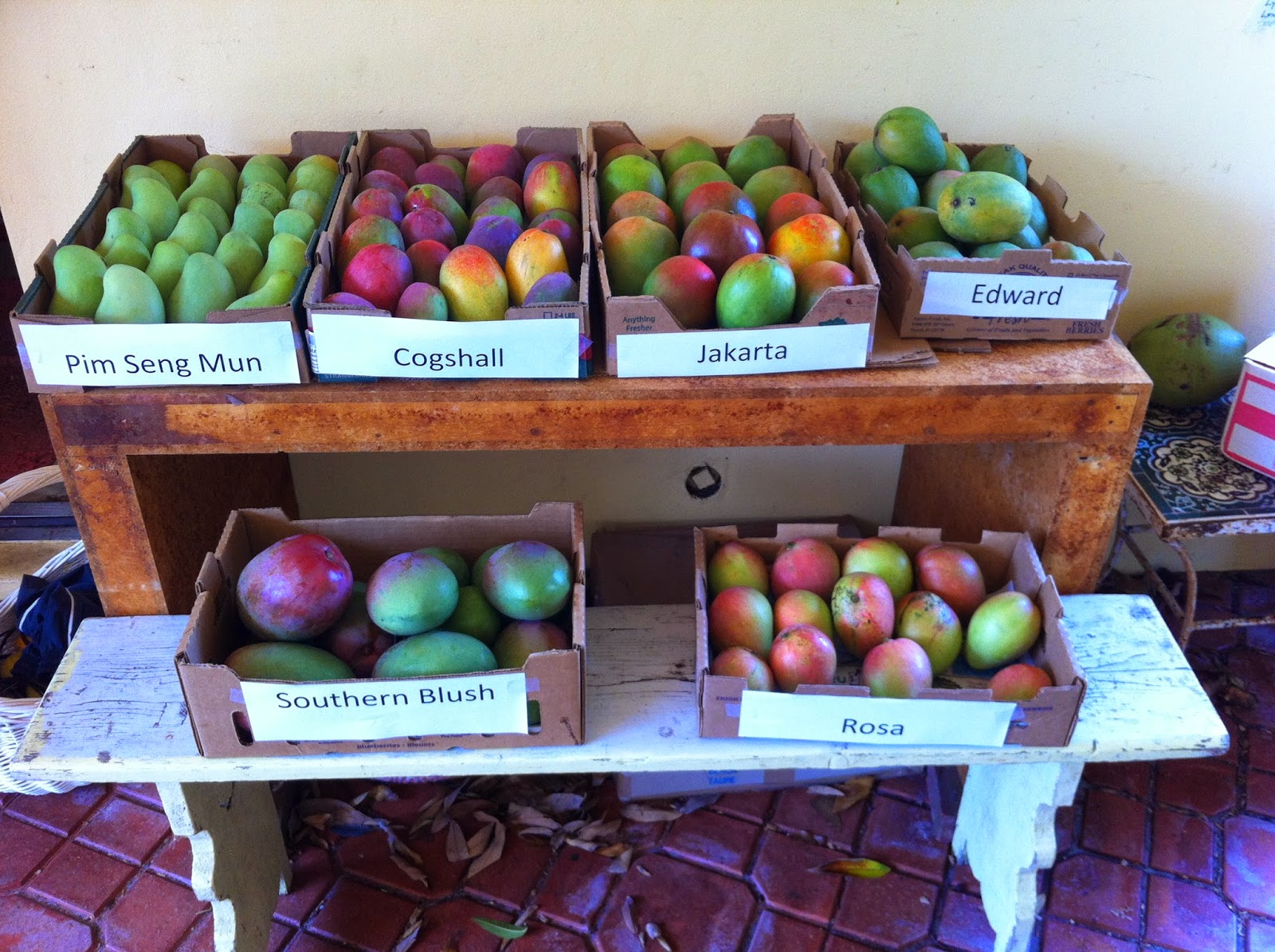 The Mango Report from Truly Tropical Ripe Fruit