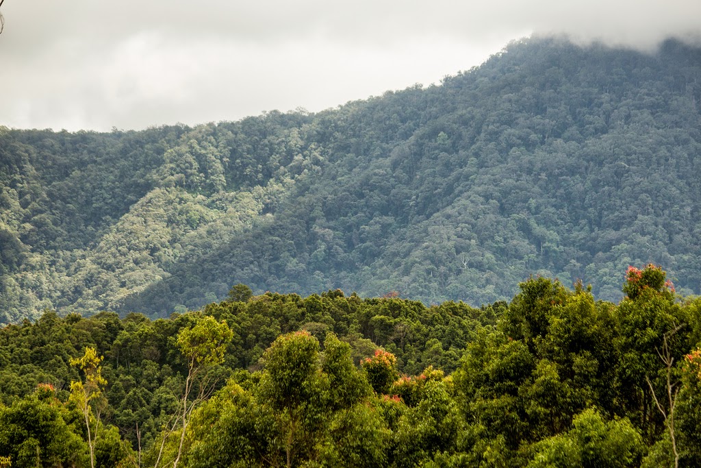 Daftar nama - nama gunung di indonesia: PROVINSI JAMBI