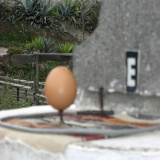 balanced egg