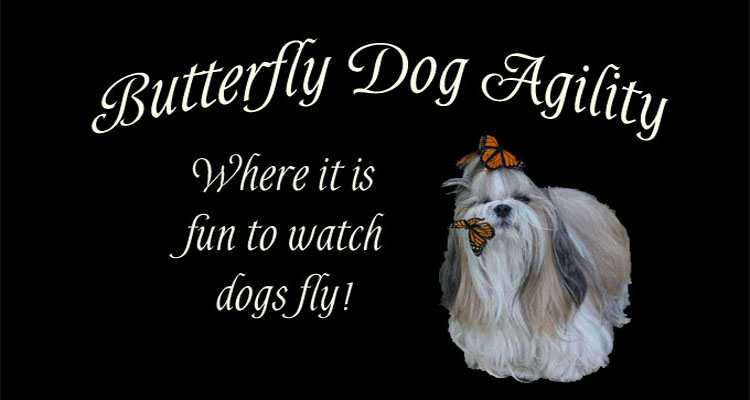 Butterfly Dog: Agility!