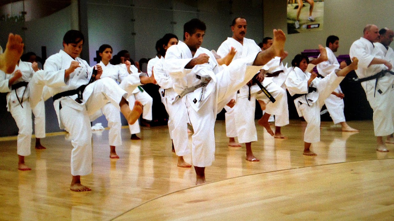 Japan Shotokan Karate Association