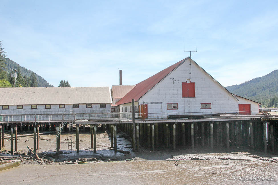 Photographie de la faune et Voyages Alaska 21 KITIMAT, PRINCE RUPERT