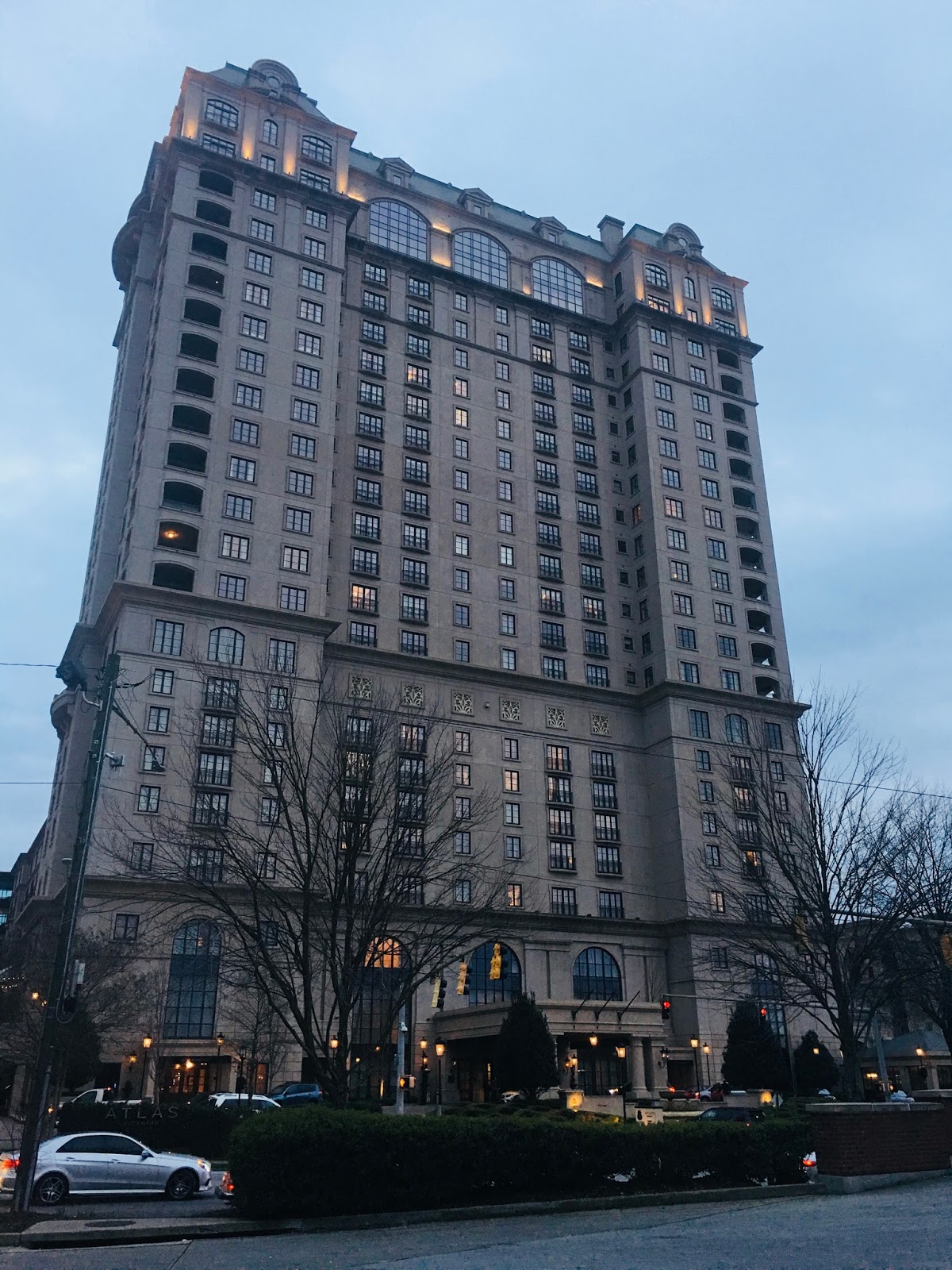 The Veracious Vegan St Regis Atlanta