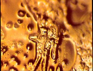 water%2Bwords%2Byou%2Bmake%2Bme%2Bsick%2