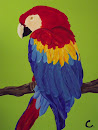 Parrot for Sept. 8 Art Show