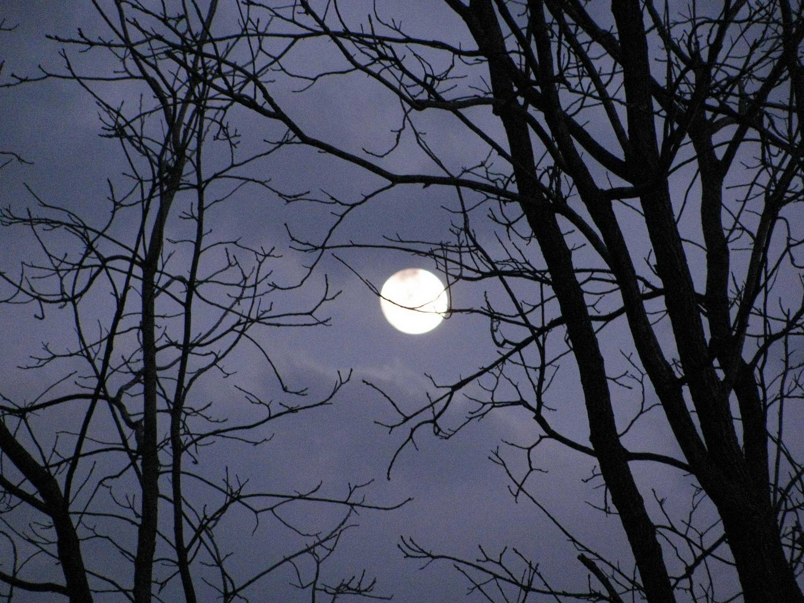 http://3.bp.blogspot.com/-pICEYNNzN9M/TVyZfxGehnI/AAAAAAAAEZM/Hep3PdUzwpk/s1600/February-Full-Moon.jpg