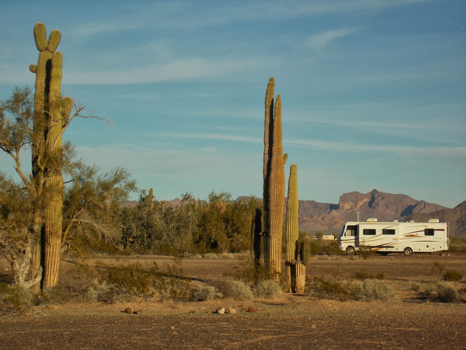 Tarra's Travels Quartzsite, Arizona