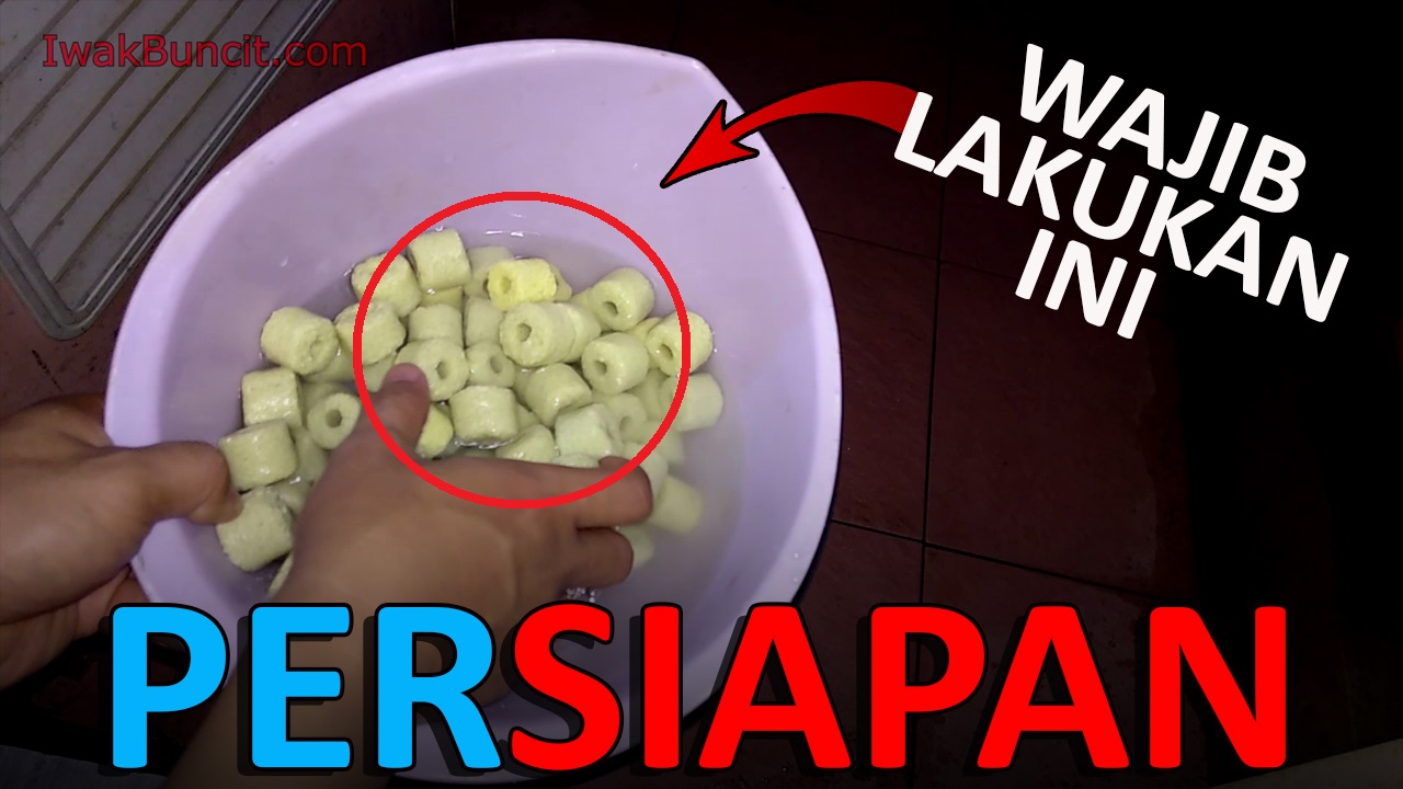 Wajib Lakukan Ini Sebelum Menggunakan Media Filter Aquarium Ikan Mas Koki Biologi Kimiawi Ultraviolet