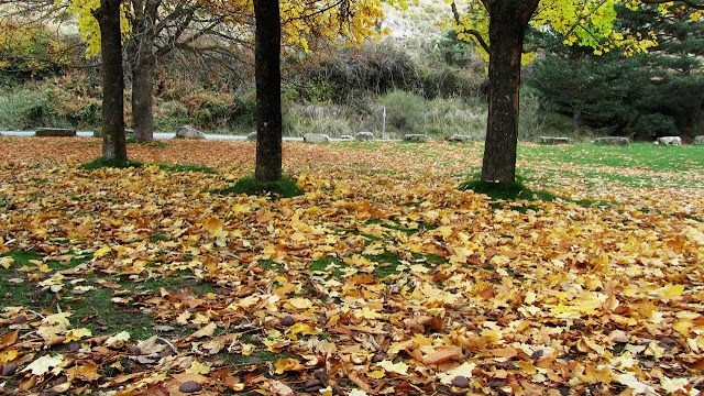 La Panera en otoño - AlfonsoyAmigos