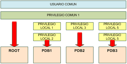 Oracle Para Todos: Oracle 12c : Usuarios, Roles y Privilegios - Local ...