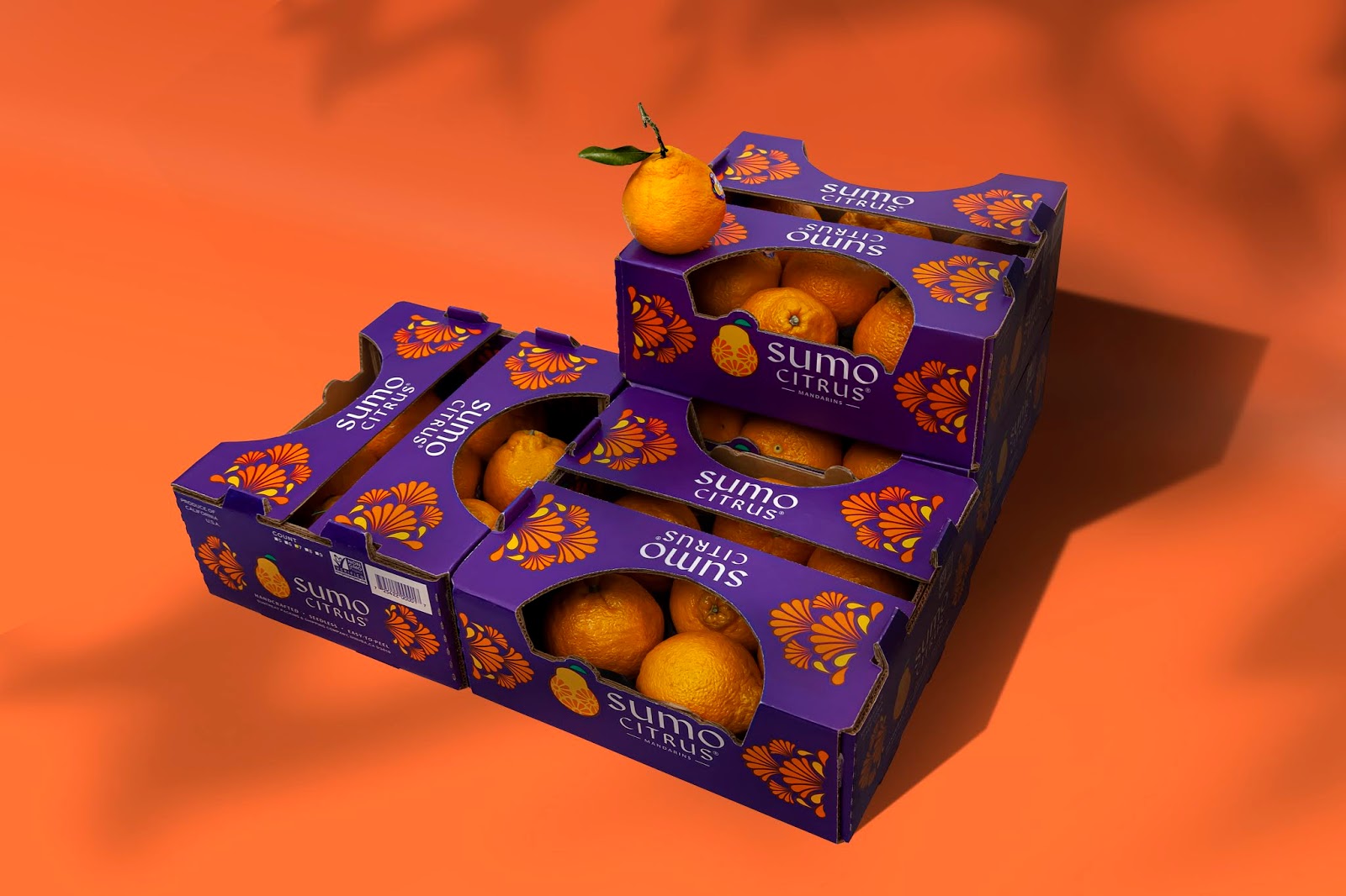 Sumo Citrus Packaging Of The World