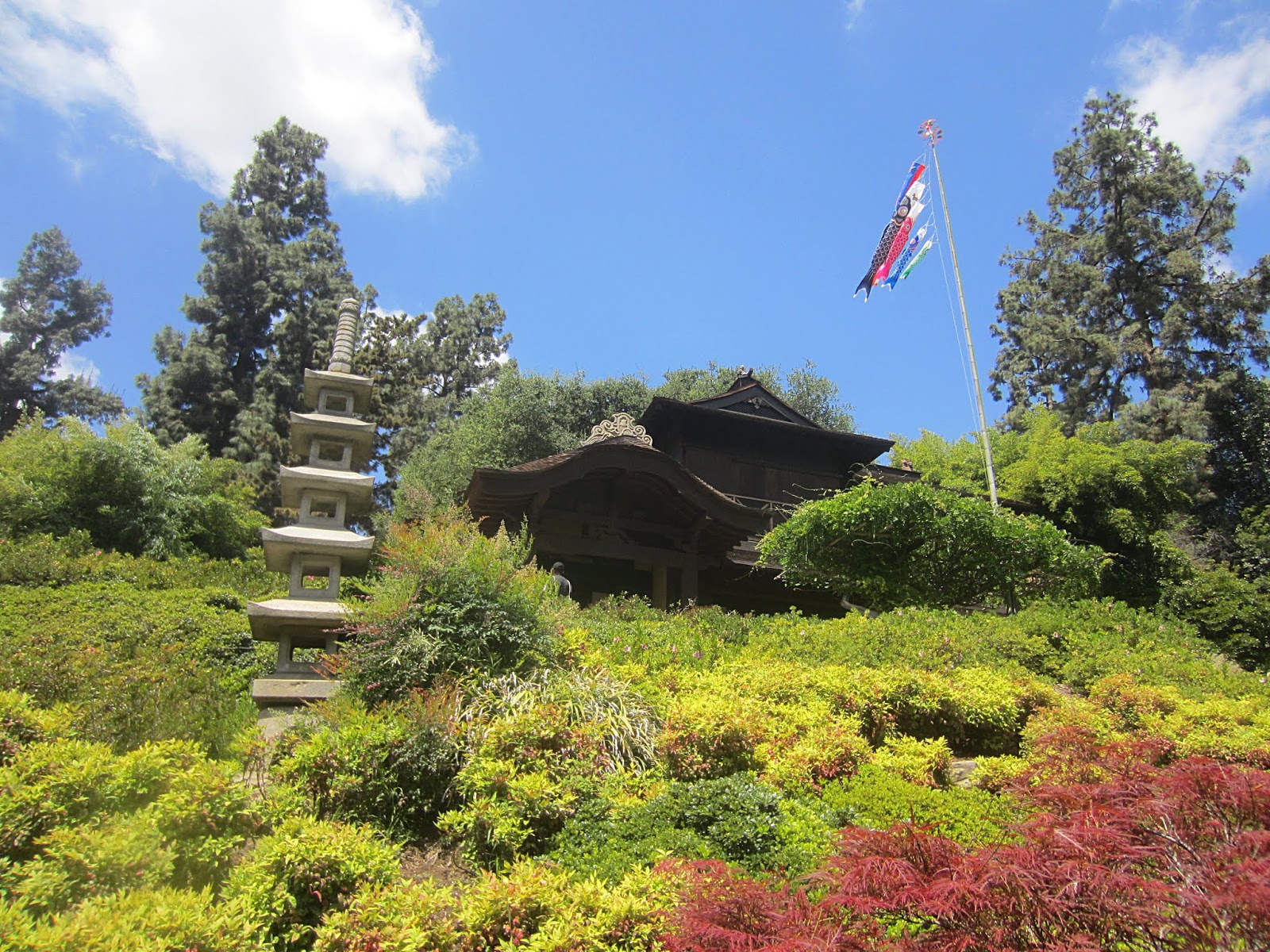 ЛА + Пасадина ЛА + Пасадина