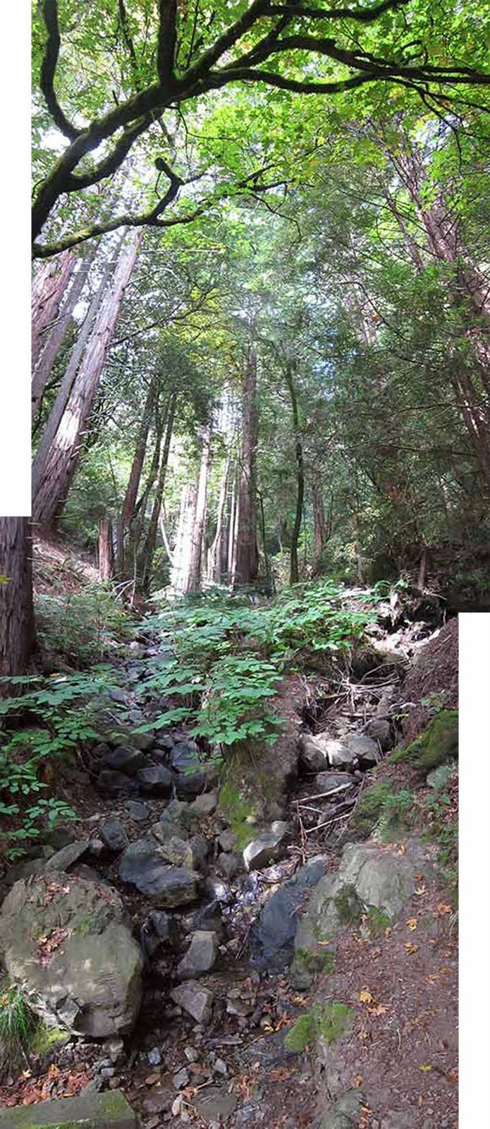 The Masters Of Horticulture