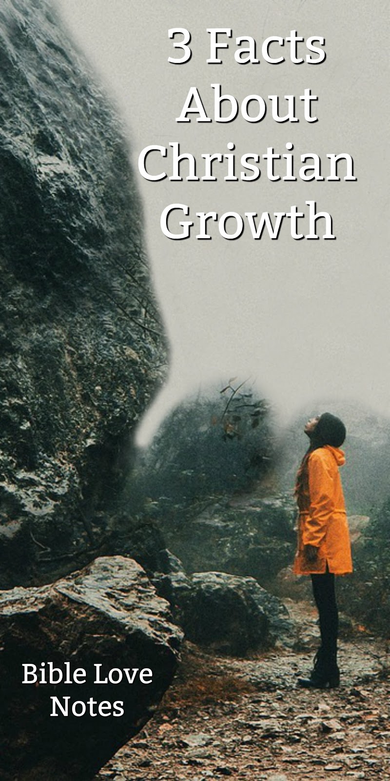 Bible Love Notes What It Takes to Grow in Christ