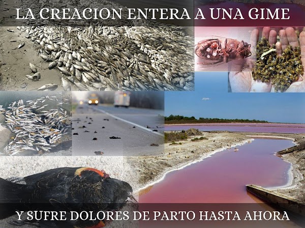 Gime la Tierra con dolores de parto Gime la Tierra con dolores de parto