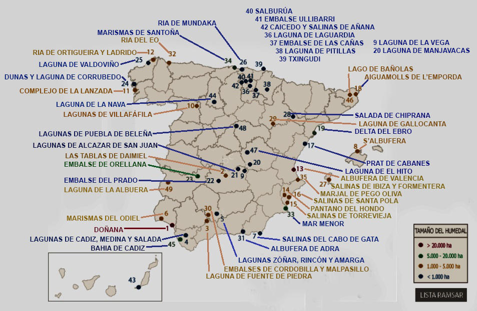 CURIOSIDADES CIENTÍFICAS : Los humedales españoles