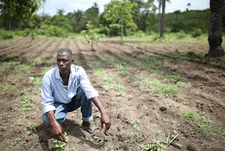 In Africa, climate change will affect all four dimensions of food security: food availability, food accessibility, food utilization and food systems stability.