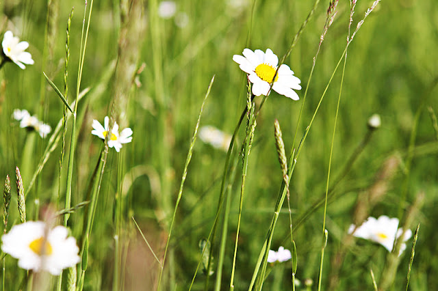 a photo, a day: Oktober 2011