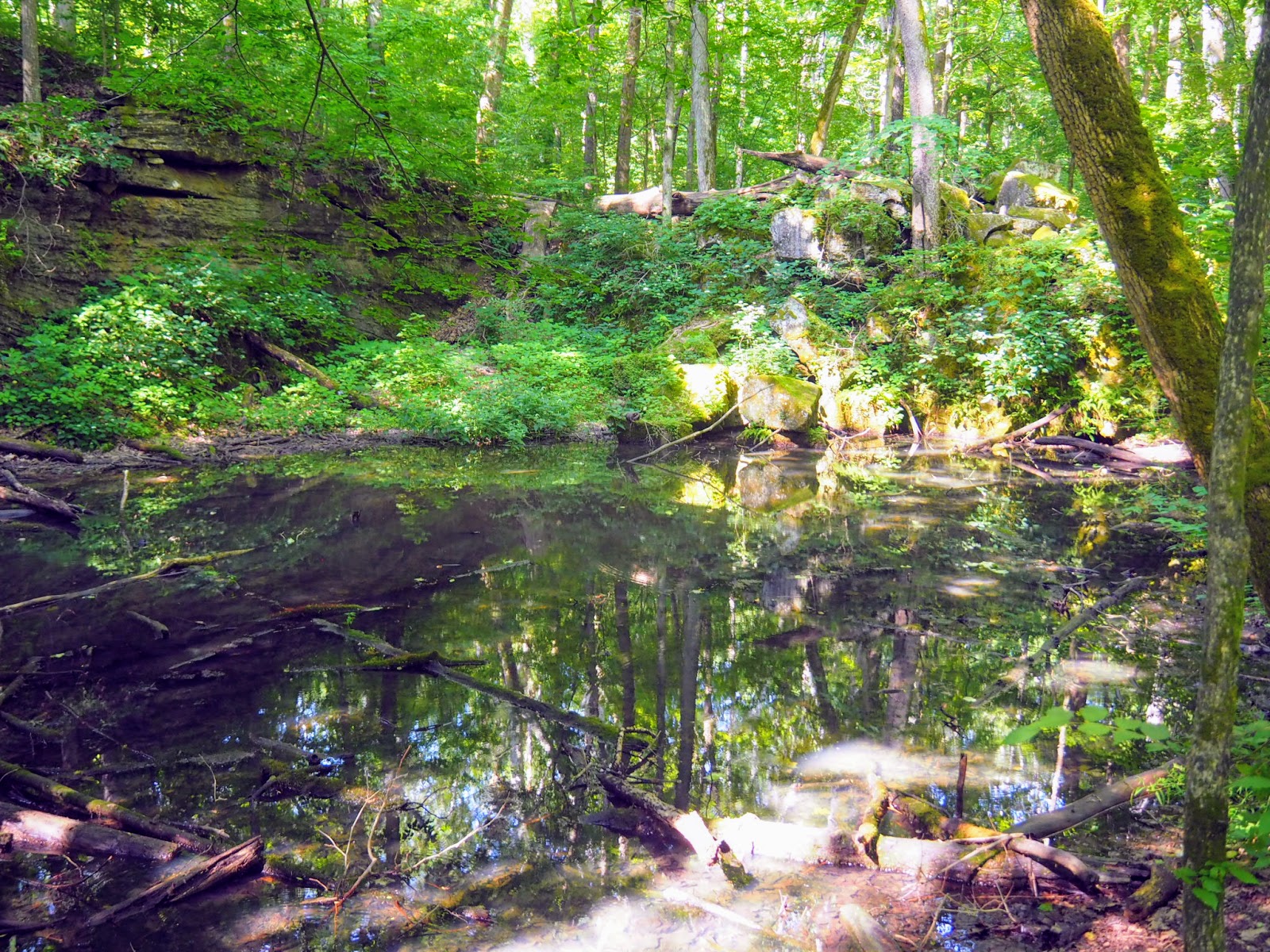 Spencer, IN McCormick's Creek State Park, Old State House Quarry