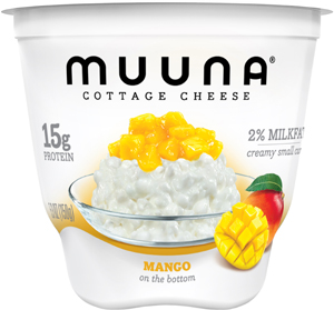 Berry On Dairy Dairy Foods Trends Contemporizing Curd