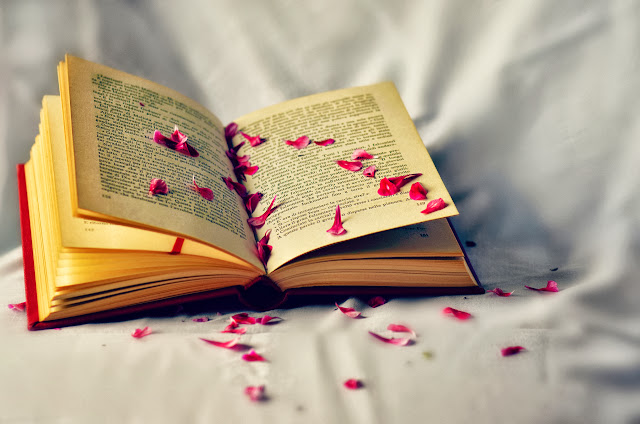 Free Photo Book