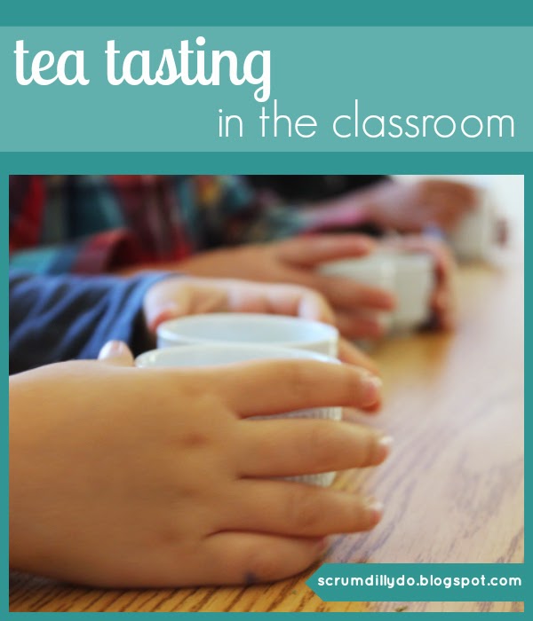 scrumdillydo! tea tasting in the classroom