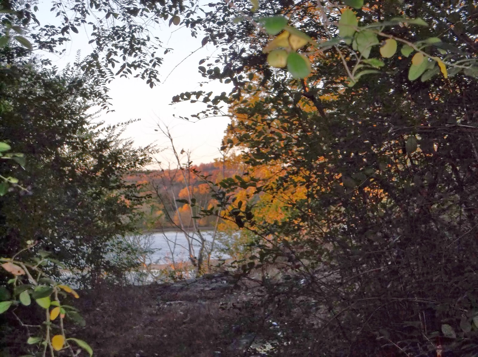 HAUNTED ECLIPSE BLYTHE FERRY & CHEROKEE TRAIL OF TEARS