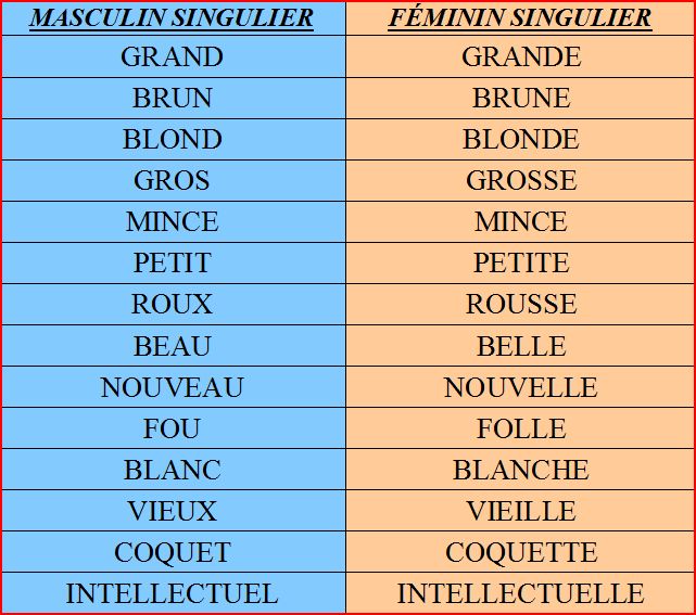 Blog de Français: l´adjectif qualificatif