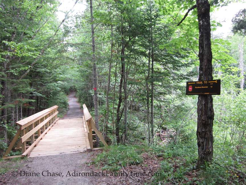 Easy Tupper Lakes Hikes Tupper Lake Triad's Goodman Mountain