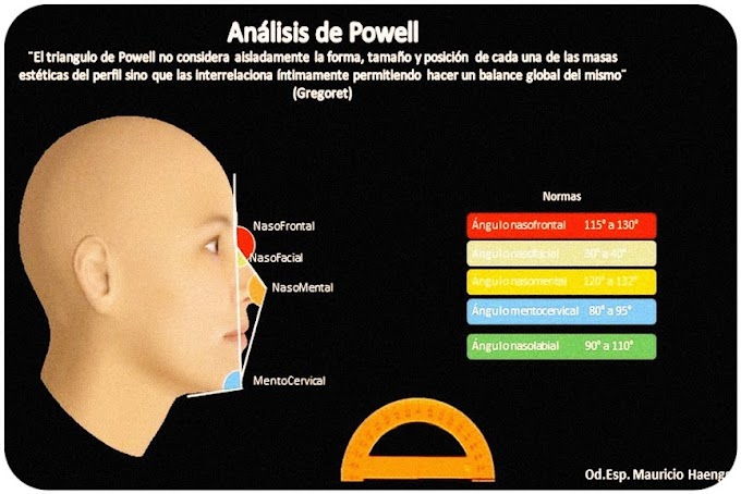 ORTODONCIA: Análisis de rostro - Análisis de Powell