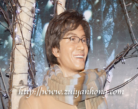 Sweet Memories Of ZuiYanHong: South Korean Renowned Actor Bae Yong Joon