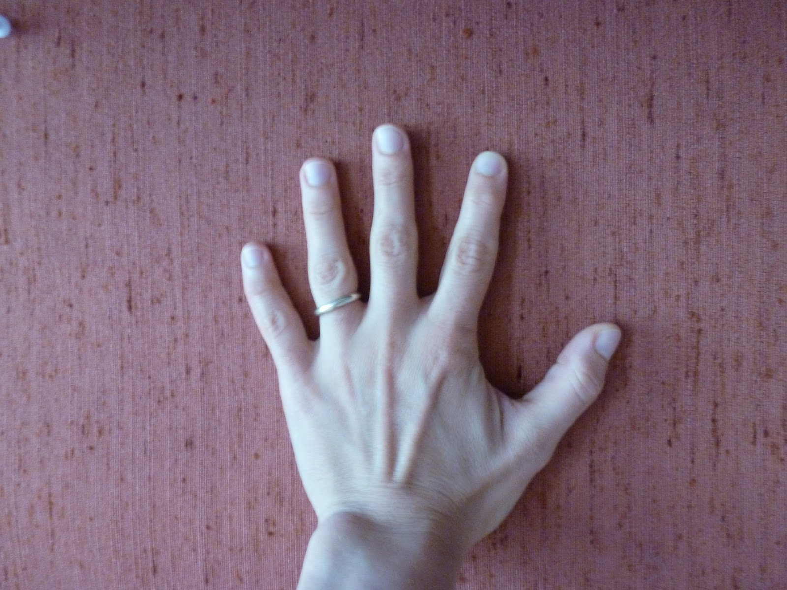 FleshContext: What Knife-Hand Strike Can Tell Us About Hand/Wrist ...