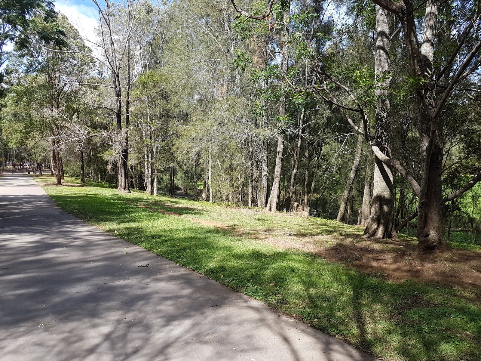 Why I Love Mount Druitt! Nurrangingy Reserve A Great Local Peace