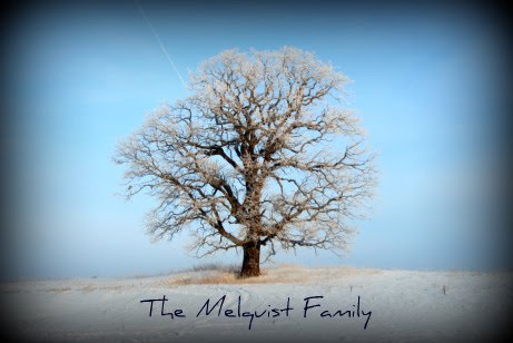 The Melquist Family