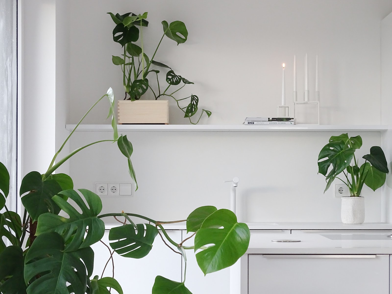 DIY-Blumenkasten zum Aufhängen an Treppengeländern und Galerien plus Pflegetipps und Informationen zur Monstera-Pflanze | https://mammilade.blogspot.de DIY-Blumenkasten zum Aufhängen an Treppengeländern und Galerien plus Pflegetipps und Informationen zur Monstera-Pflanze | https://mammilade.blogspot.de