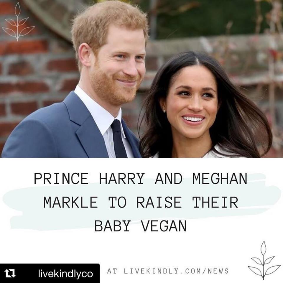 ロイヤルベビーはヴィーガン♡ハルタ huluta札幌