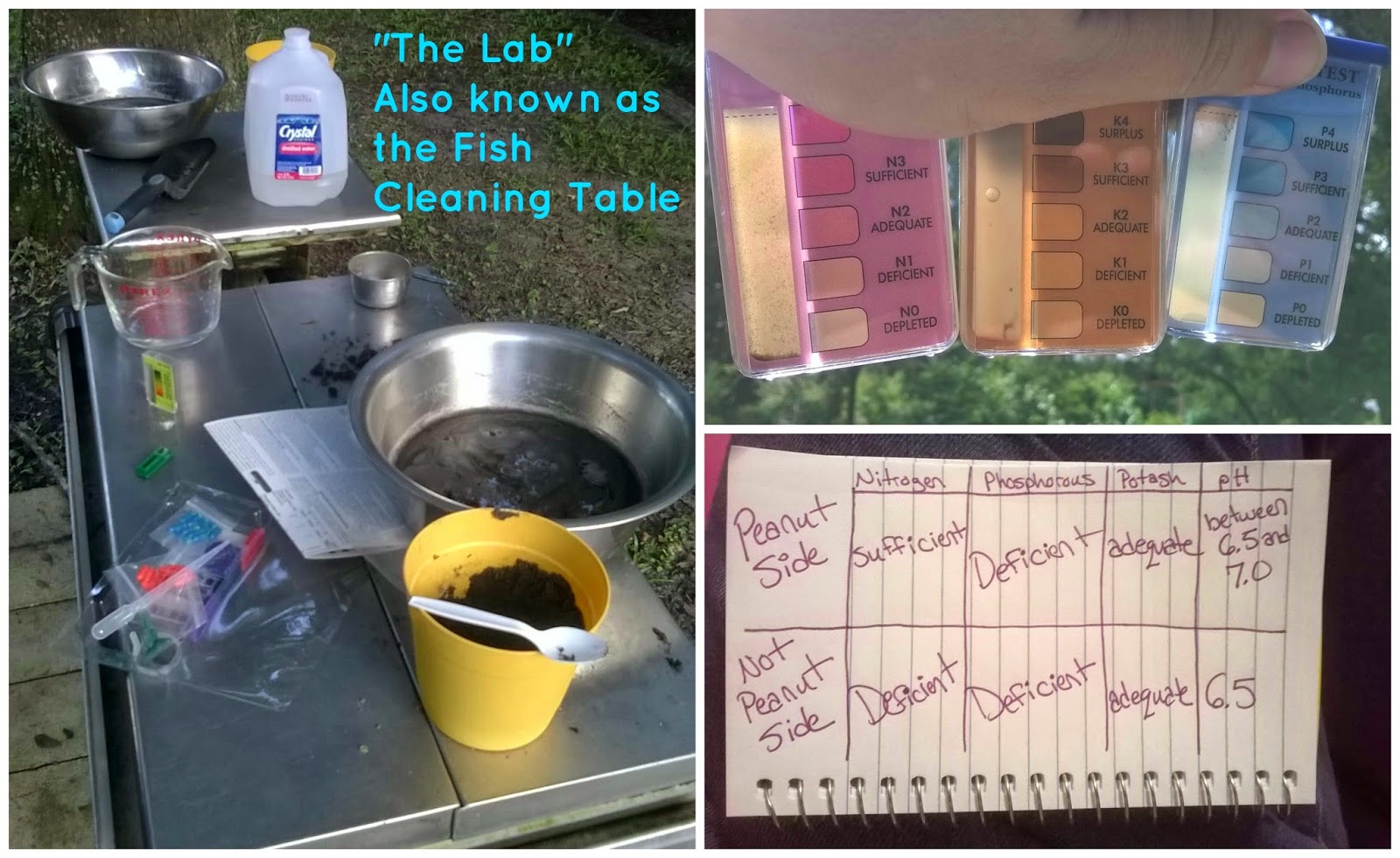 Lettuce Grow It Weston Family Farm Strengthening Soil & Cookin' Compost