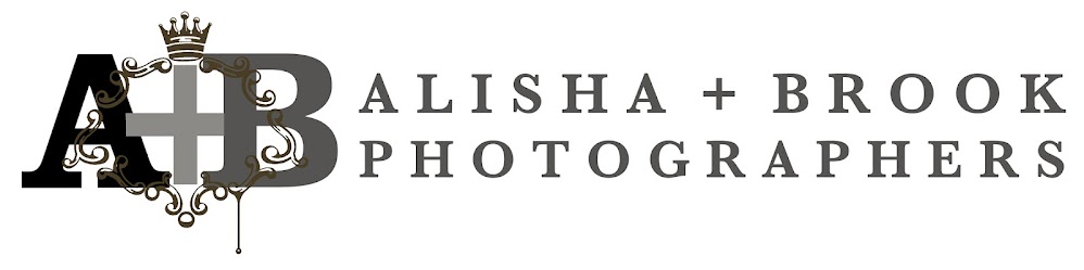 Alisha + Brook BLOG : San Francisco Photographers+Destination Weddings