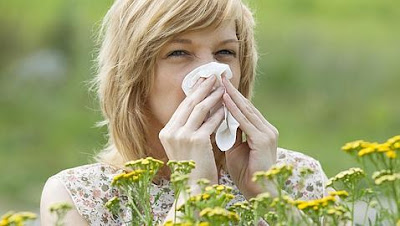 Desencadenantes de alergias