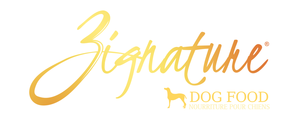 zignature guinea fowl dog food