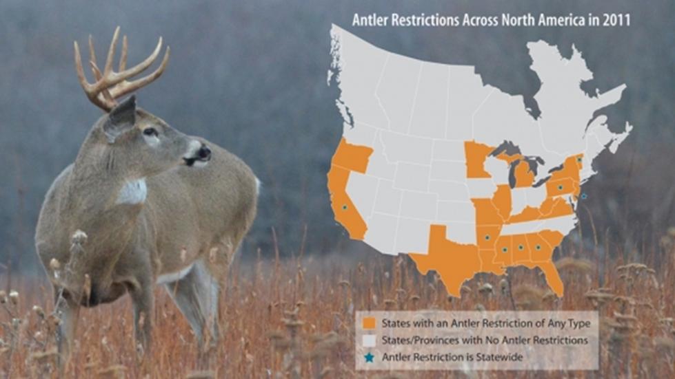 Maryland State Chapter QDMA