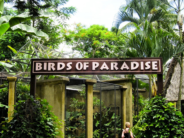 Bali Bird Park for things to do in Bali