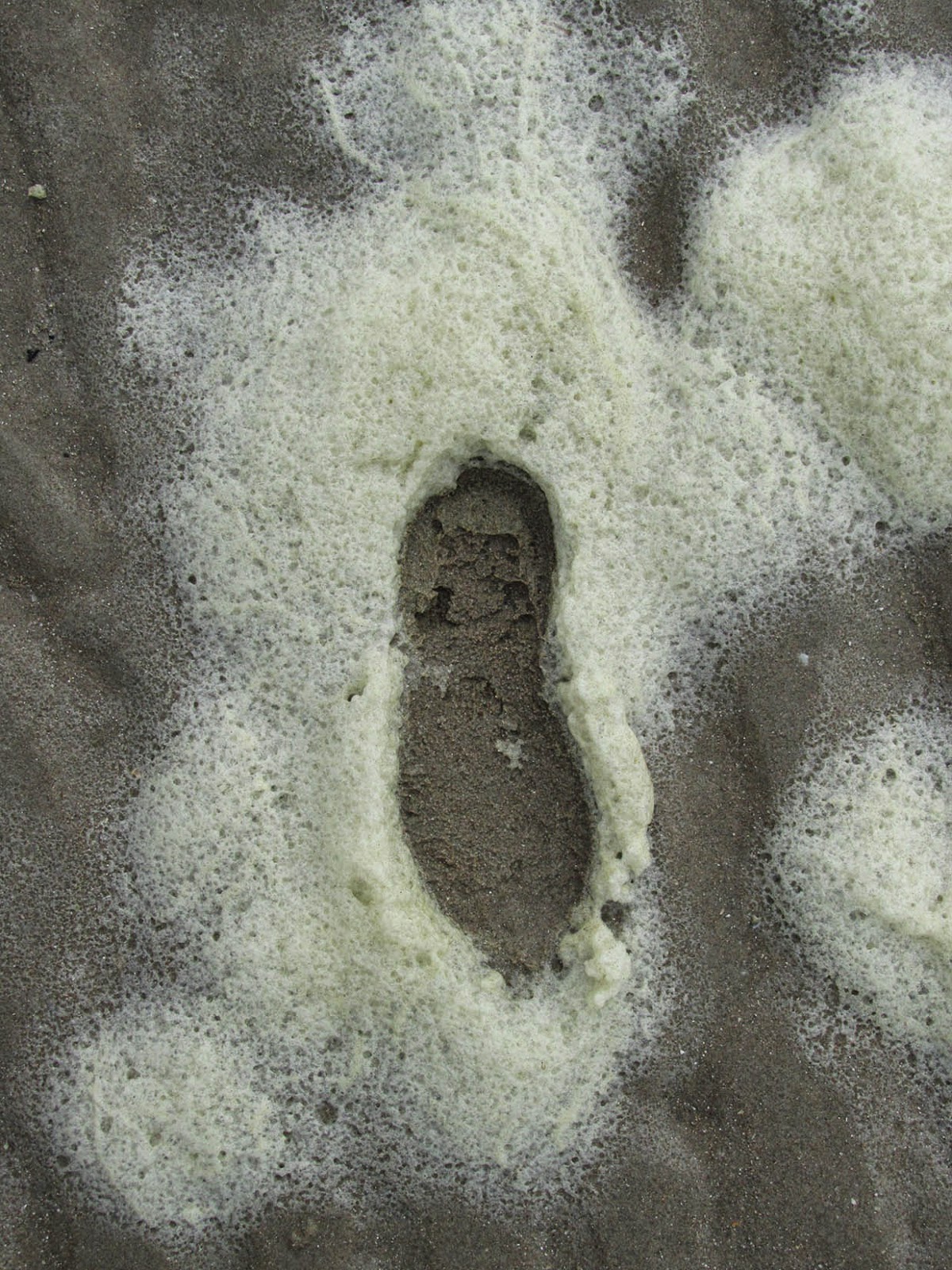 footstep in sea foam
