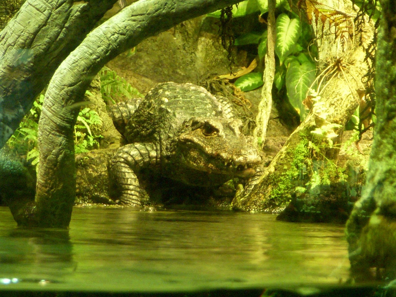 Raptormaniacs National Aquarium in Baltimore