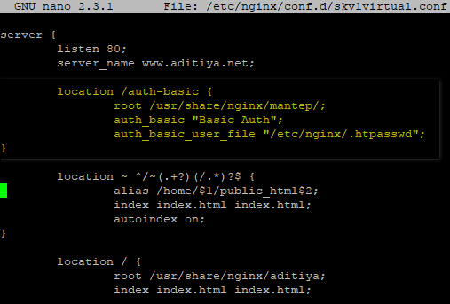 Nginx index html. Корень в Basic.