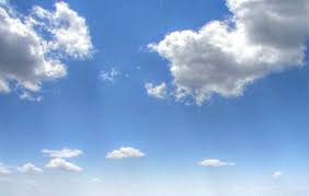 Nos gusta el medio ambiente: 2017