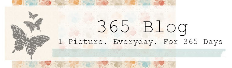 Megan's 365 Blog