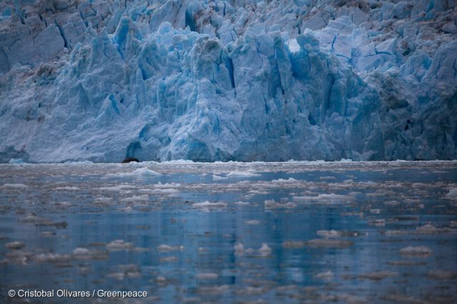 Greenpeace revela aporte de casi mil millones de pesos del Consejo Minero a la fallida COP25 en Chile